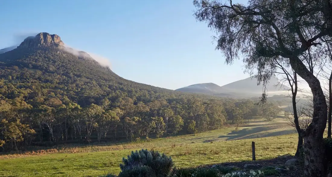 Dawn light on the paddocks and the Grampians escarpment